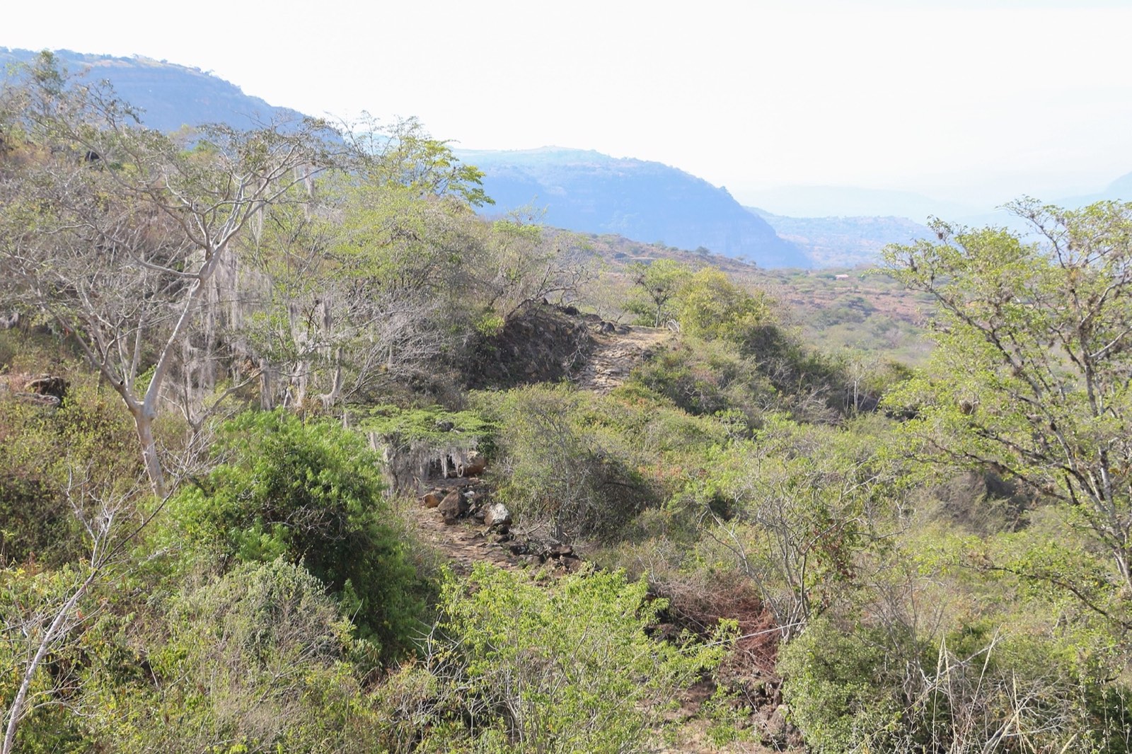 The canyon comes into view