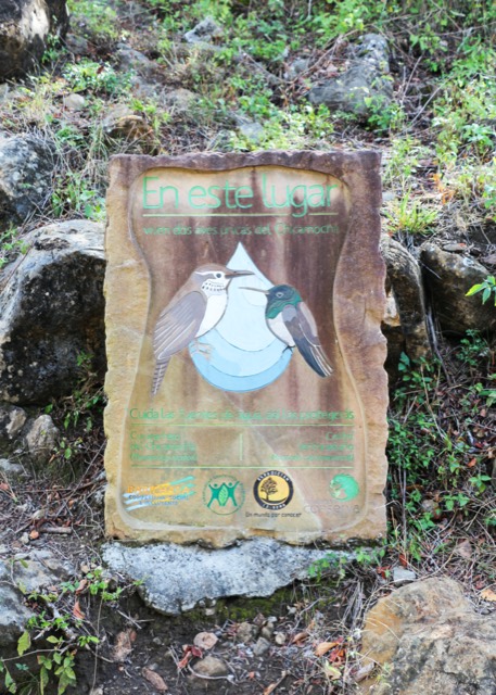 Trail sign