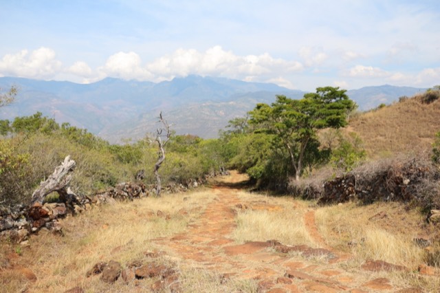 A stretch of the trail
