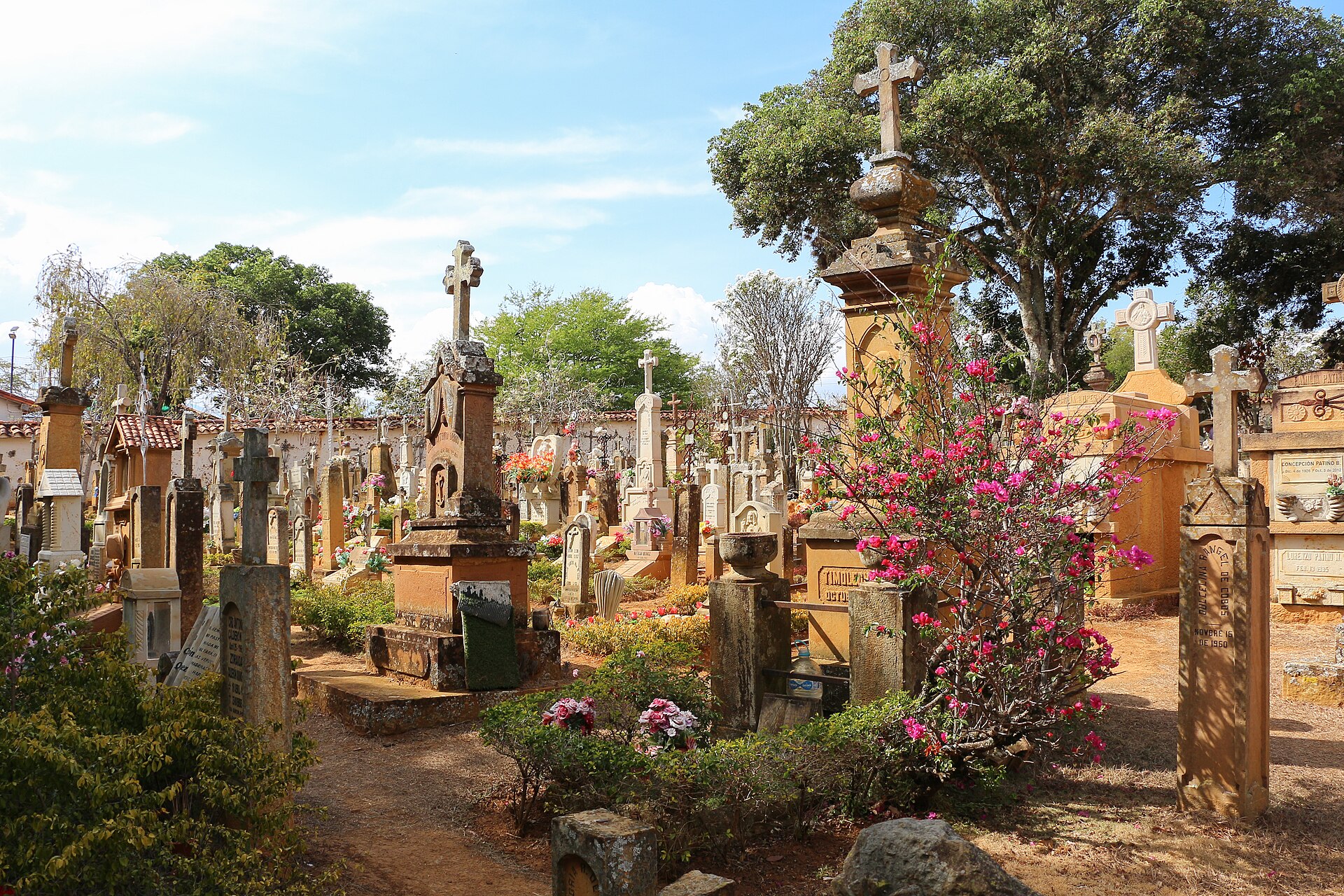 Un jardin de pierres tombales