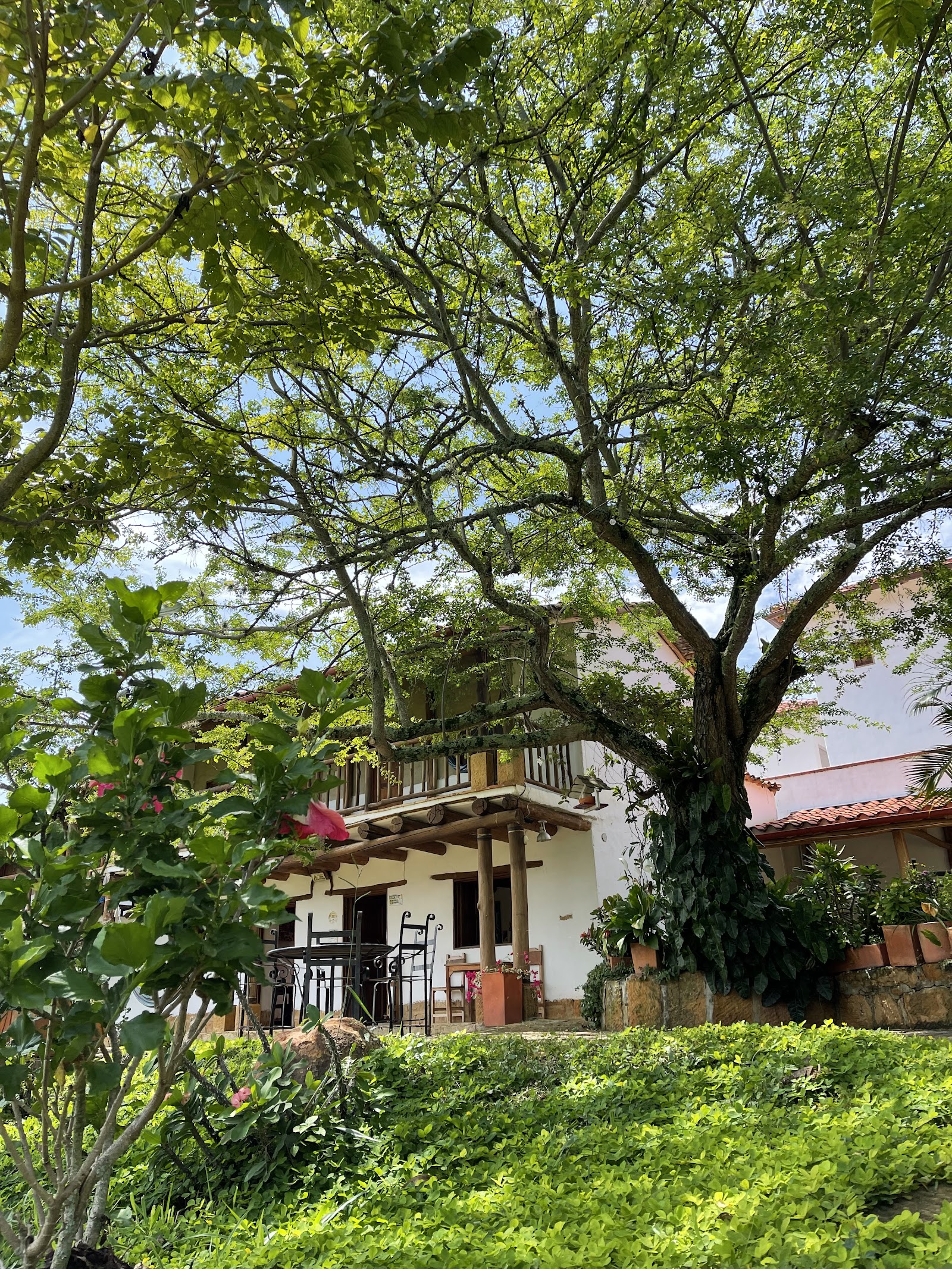 Casa de dos pisos con balcón de madera bajo un árbol grande