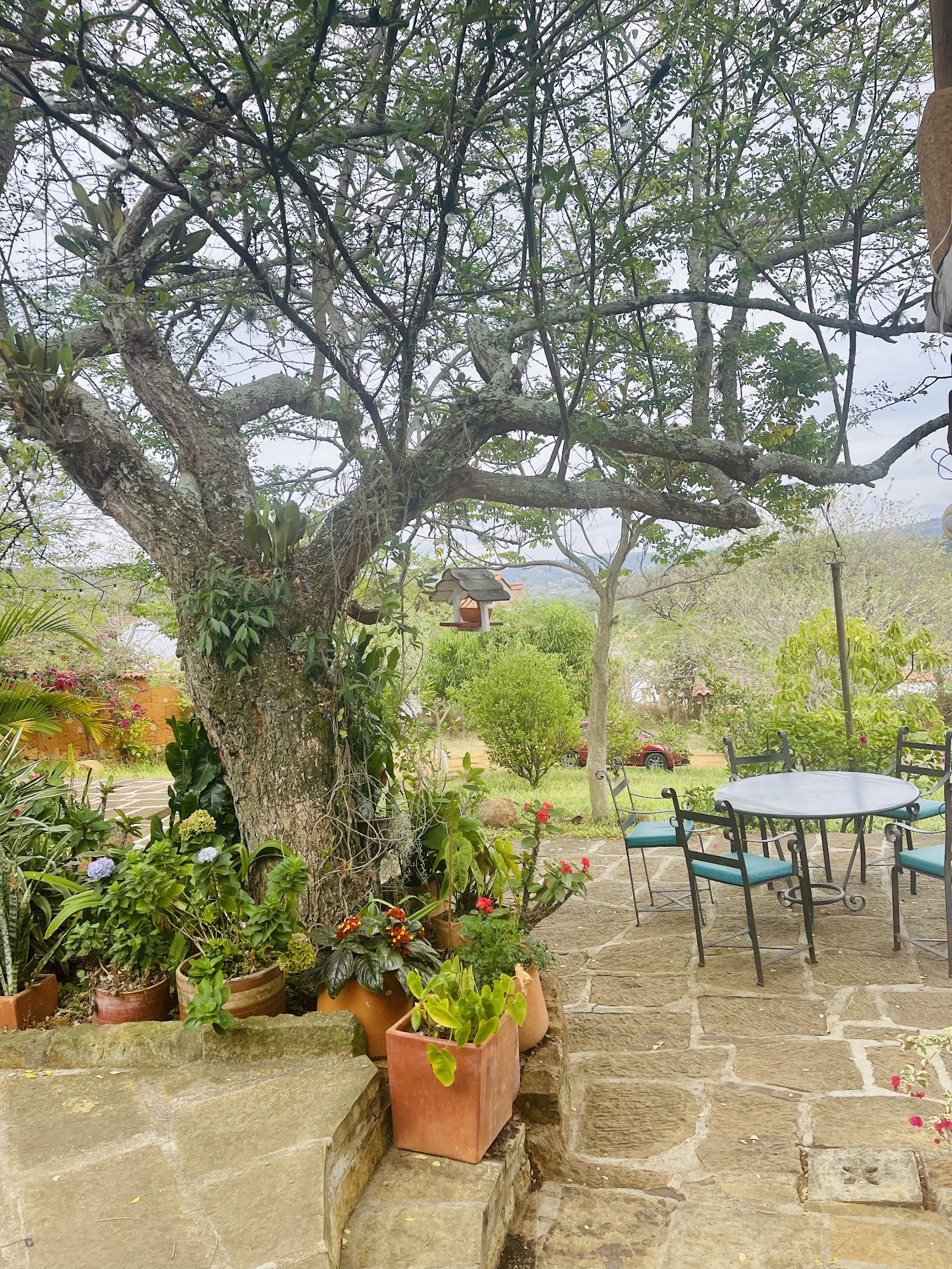 Terraza con mesas bajo un árbol y plantas en materas