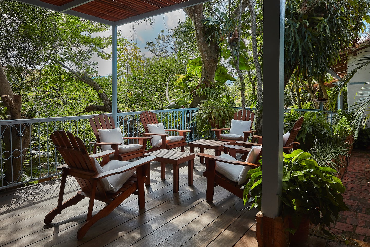 Terraza con sillas de madera entre los árboles