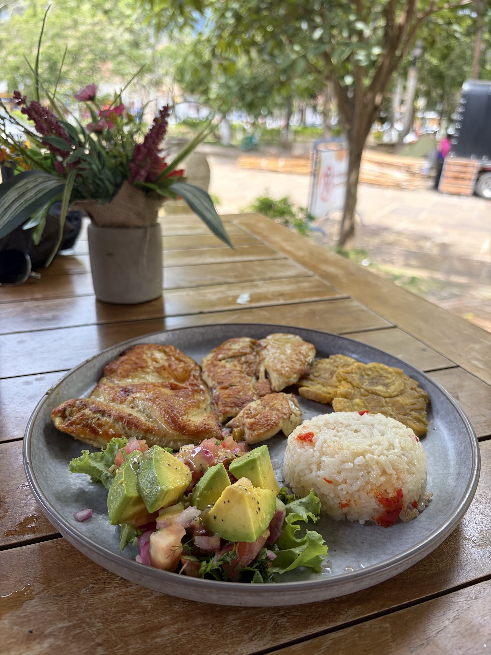 Pollo con patacones y aguacate en la terraza